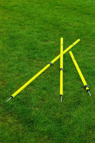 Set of 6 Telescopic slalom poles - 91cm to 172cm