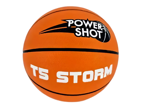 Set of 10 basketballs size 5 with free pump and storage bag