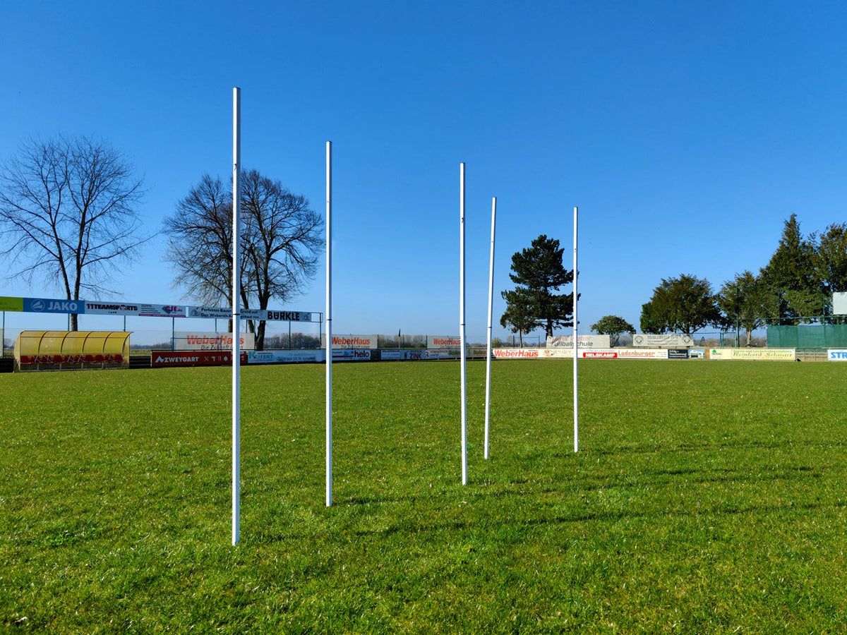 Set van 5 slalompalen met punt