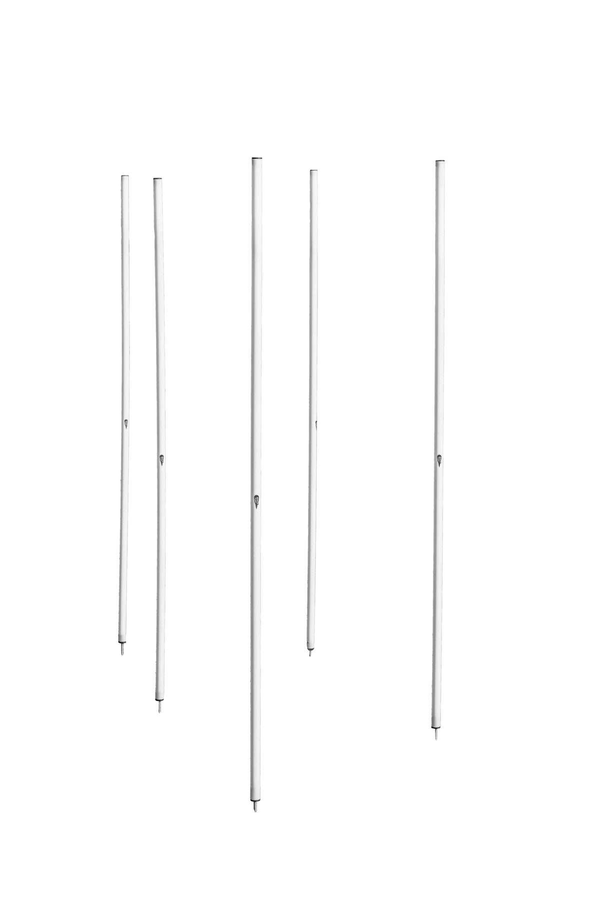 Set van 5 slalompalen met punt