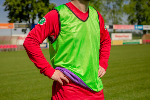 Reversible training bib