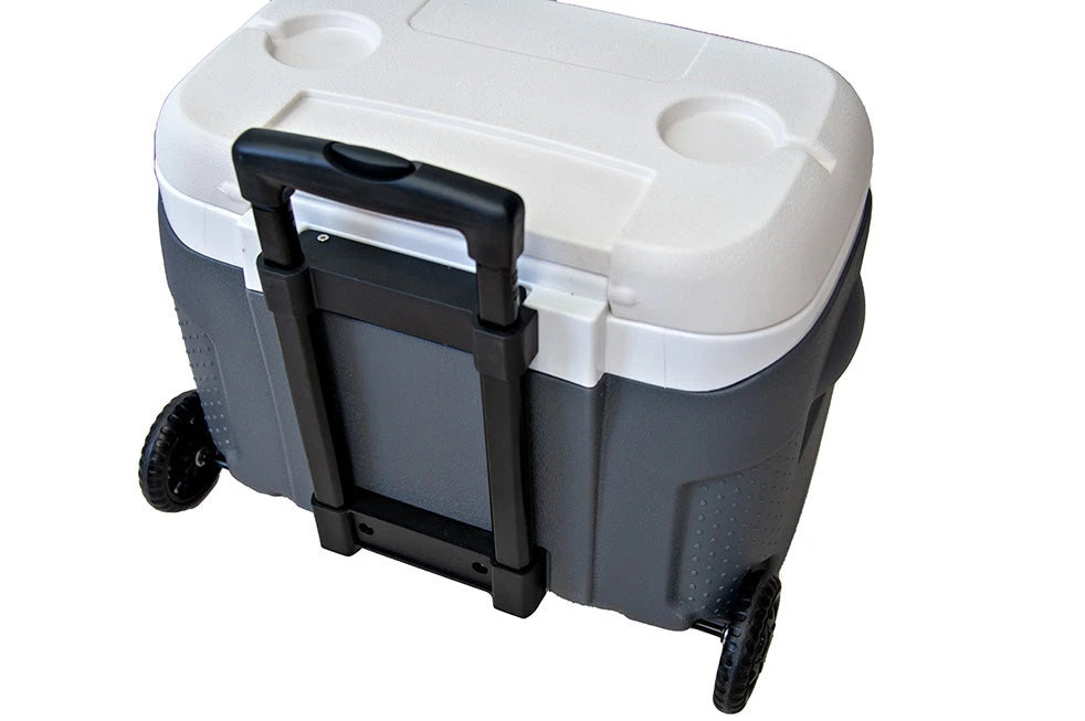 Koelbox op wielen van 28L - 42cm x 33cm x 51.5cm
