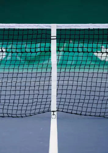 Professional Tennis Net Regulator
