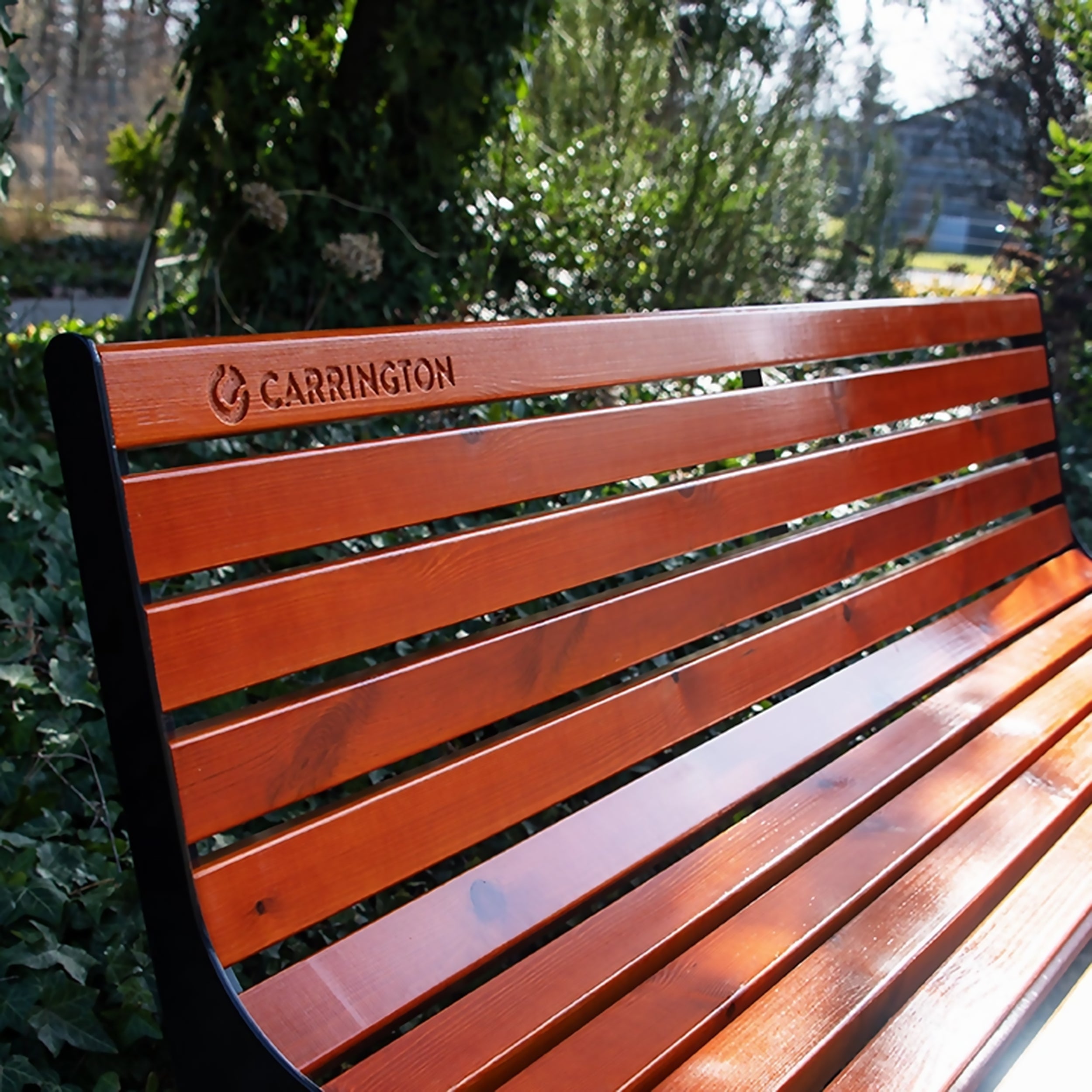 Premium wooden tennis bench with backrest - 196 cm