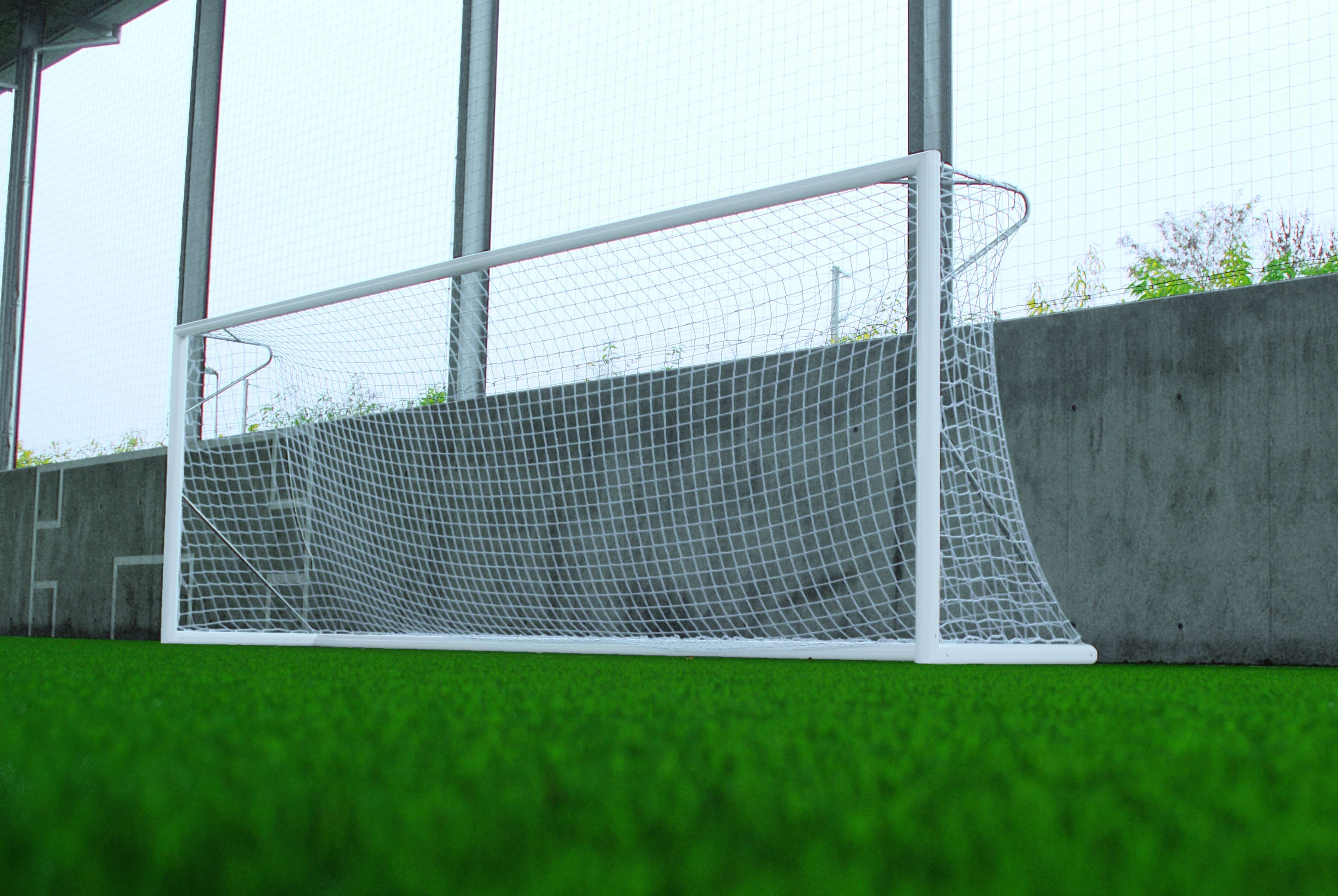 photo Professional goals