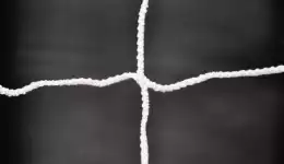 photo Shock Absorber Nets
