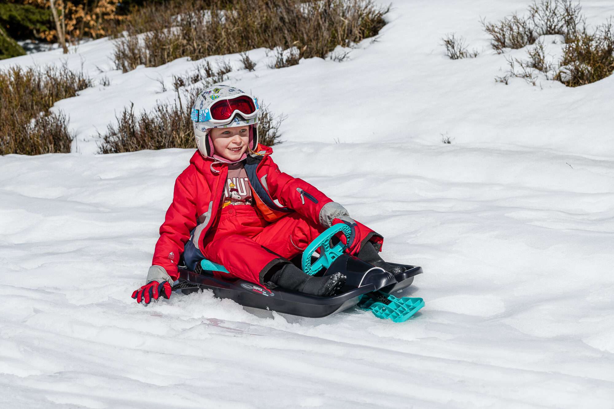 Image du produit : DESIGN sled with steering wheel - Snow Express GSL-400