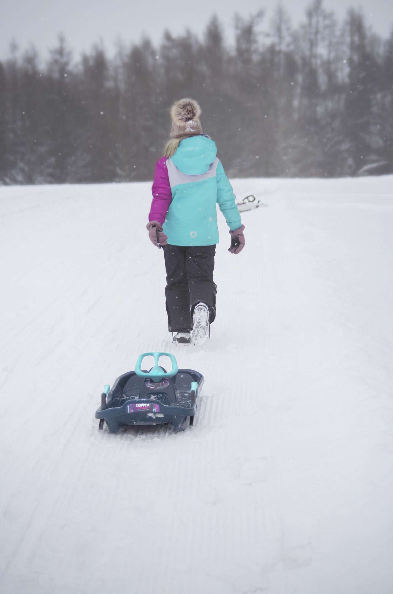 Image du produit : DESIGN sled with steering wheel - Snow Express GSL-400
