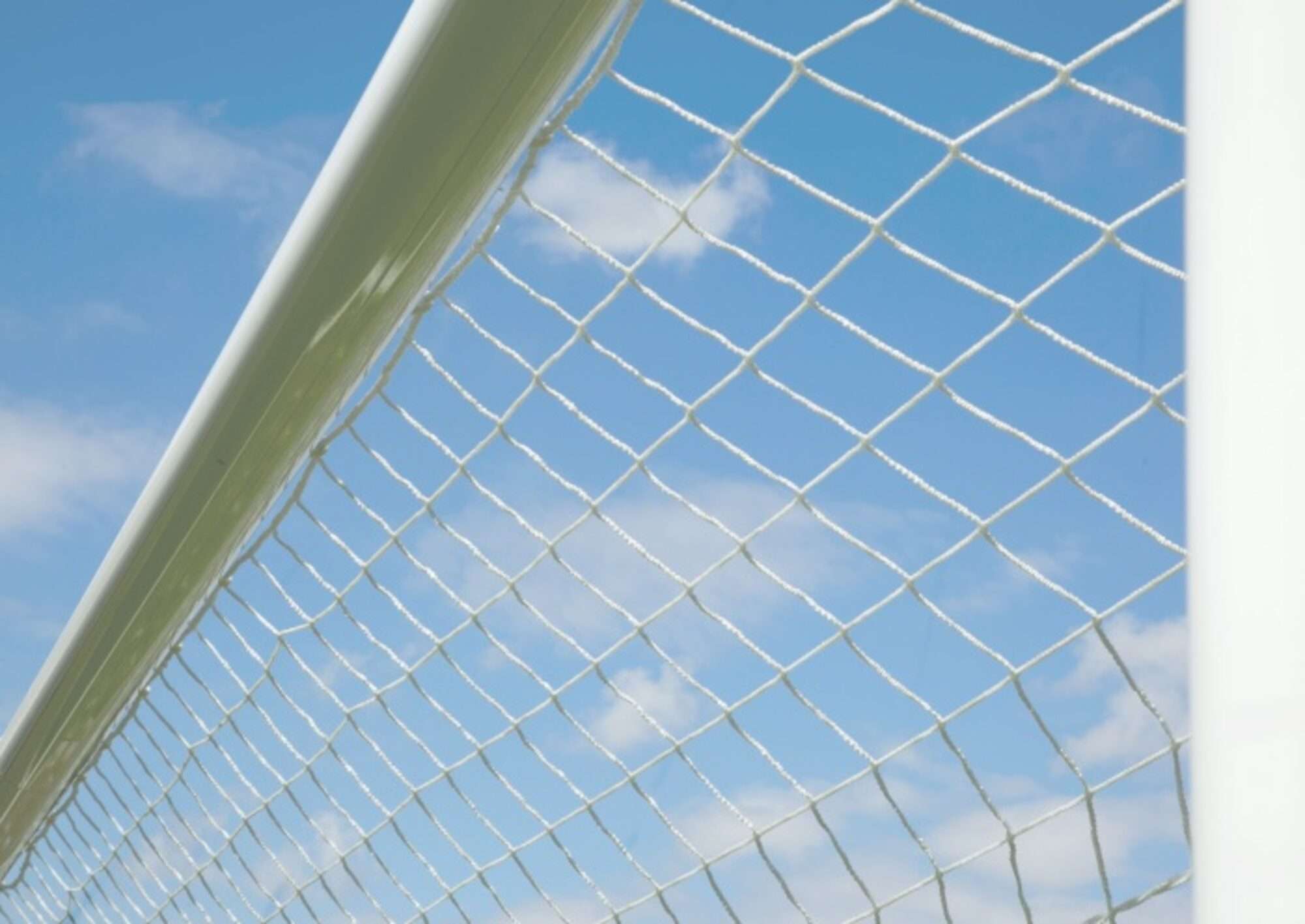 Image du produit : BICOLOR soccer net - 7.32 x 2.44 x 2 x 2m - 4mm