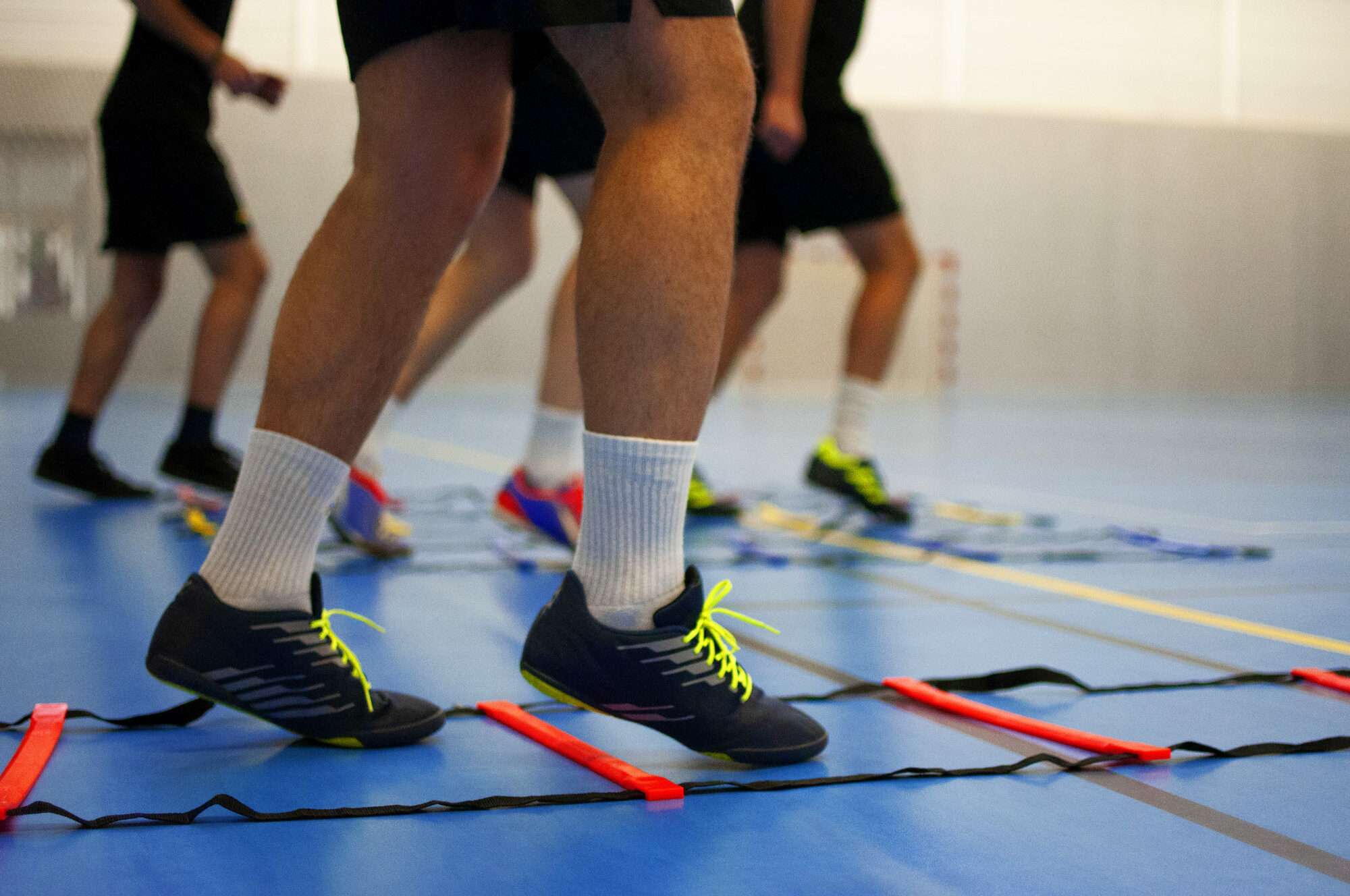 Image du produit : agility ladders 4 x 2m