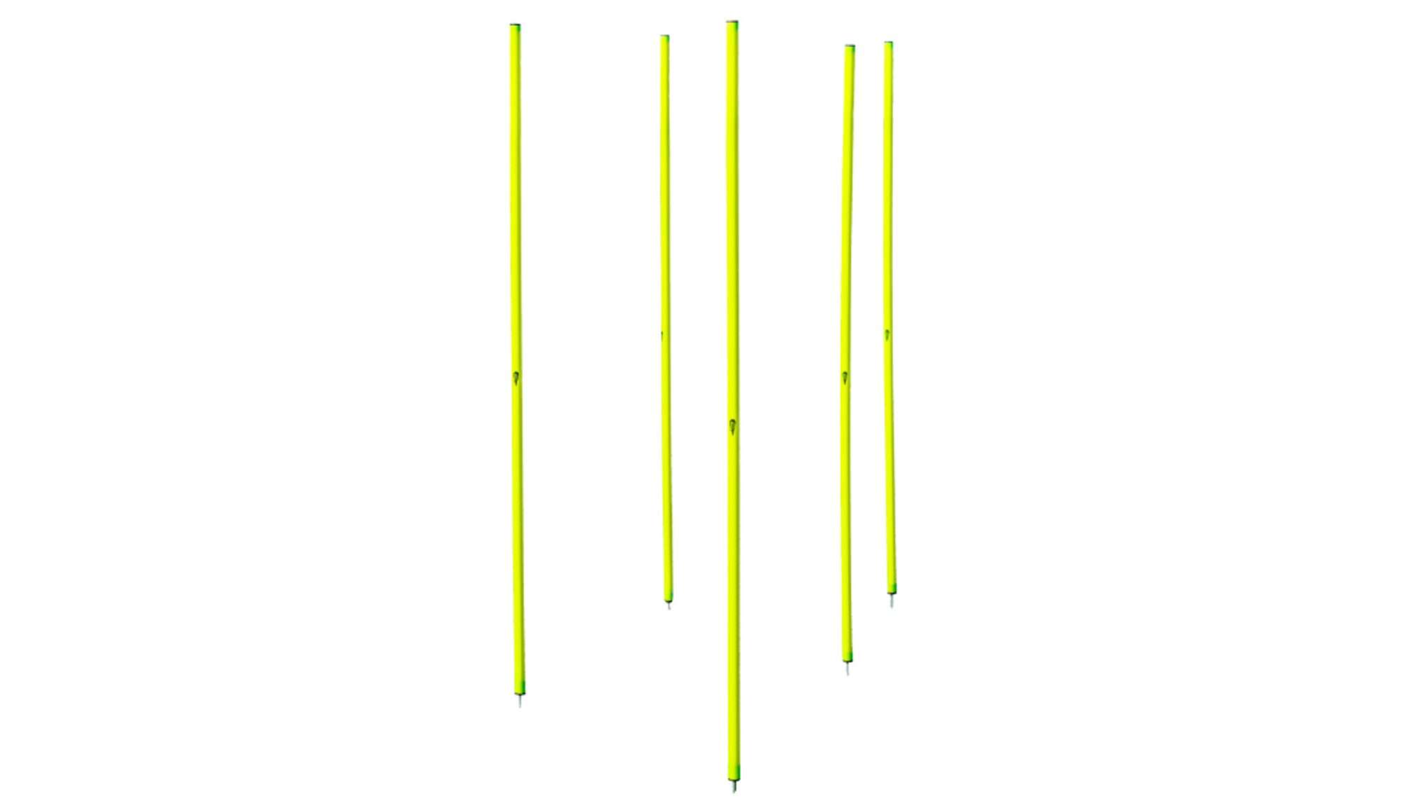 Image du produit : 5 slalom poles