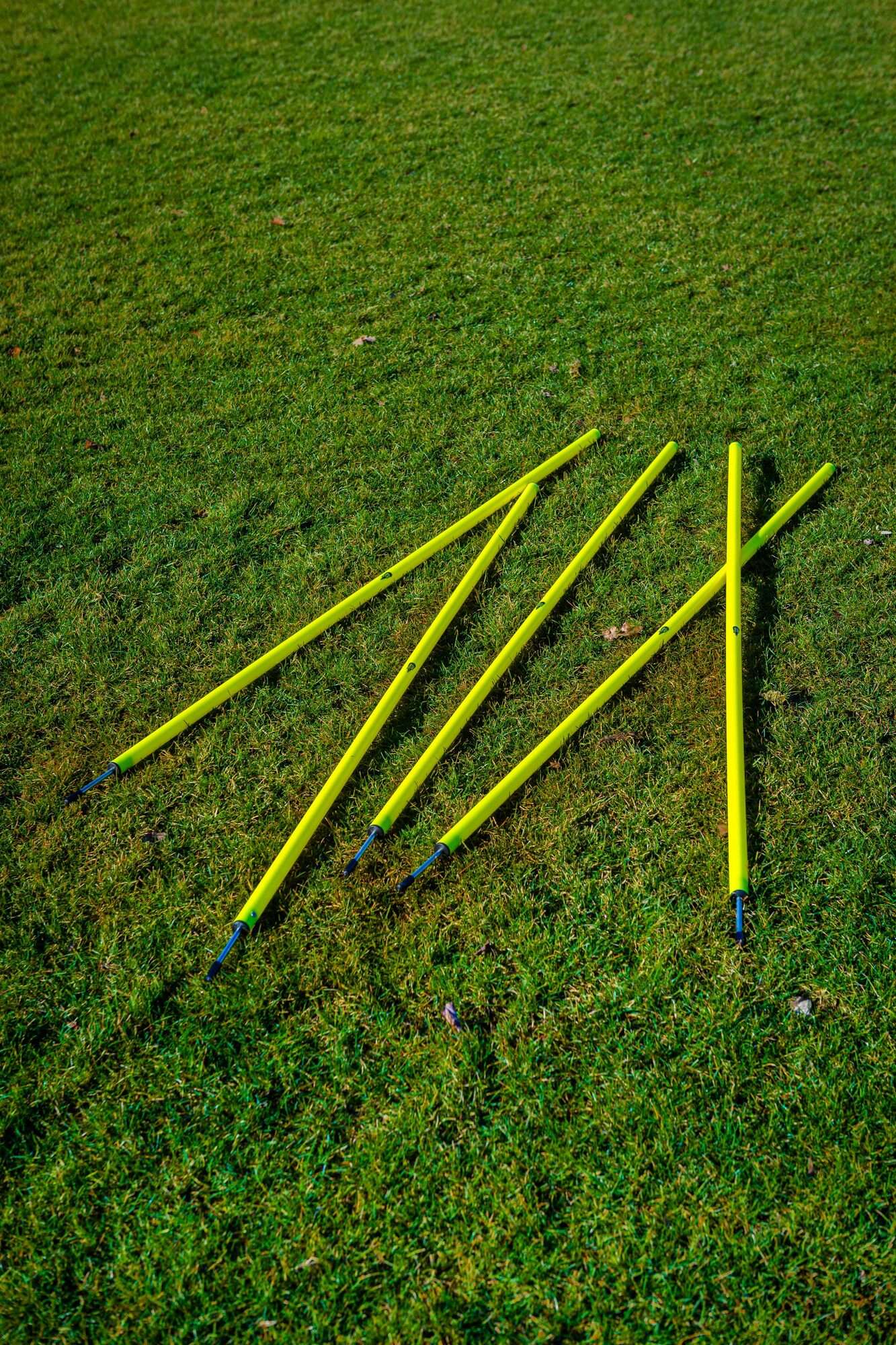 Image du produit : 5 slalom poles