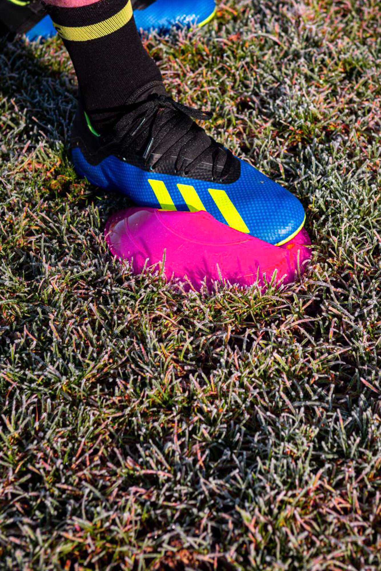 Image du produit : Set of 50 marking cones