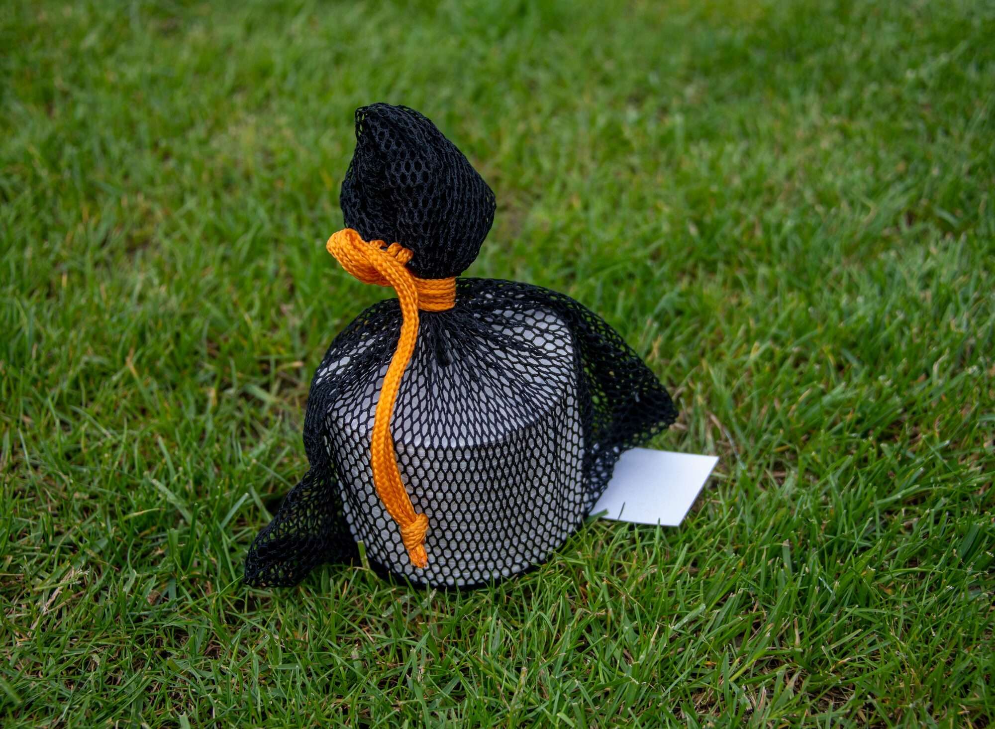 Image du produit : Small marking discs - Set of 24