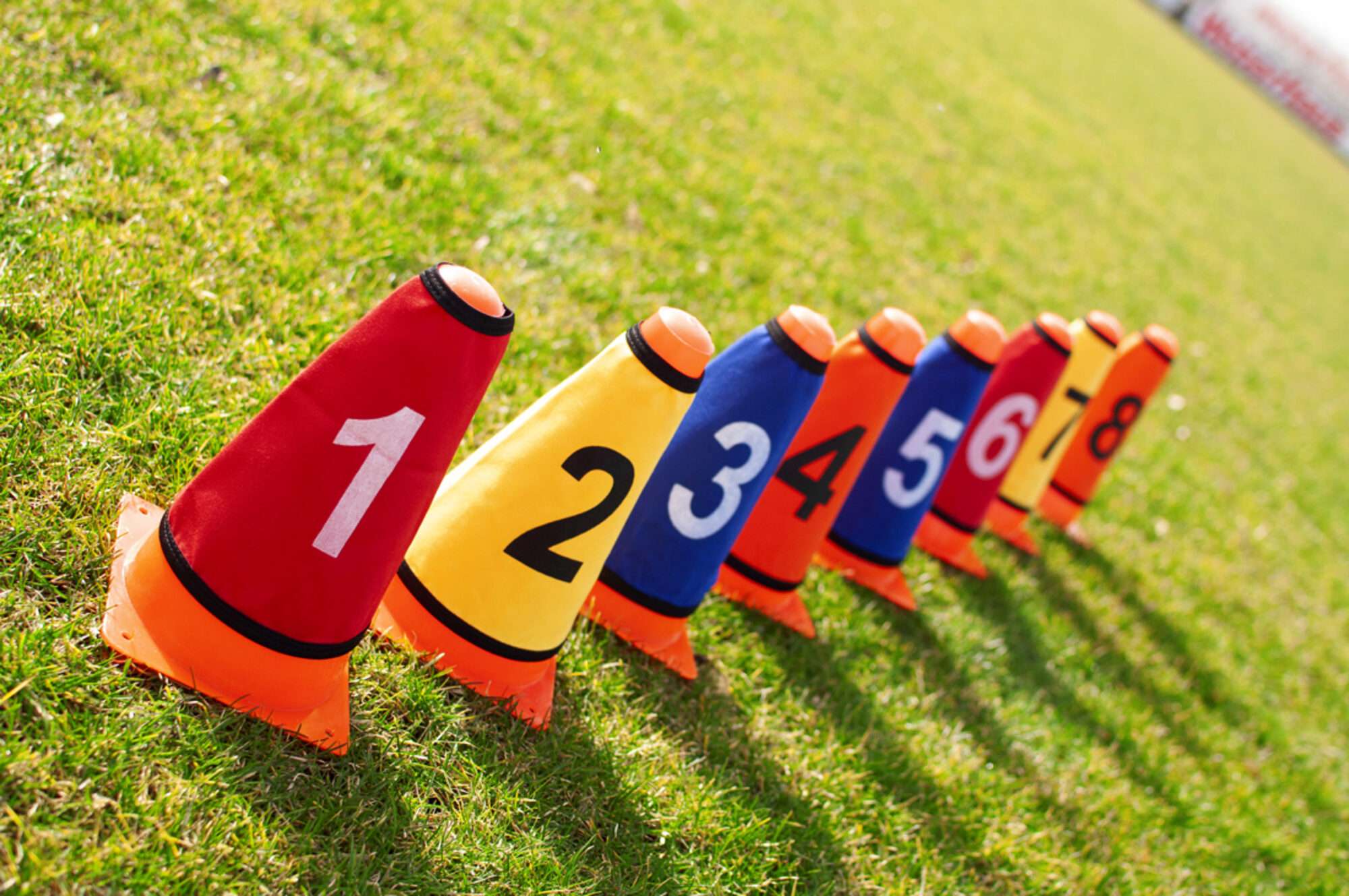 Image du produit : Cone sleeves