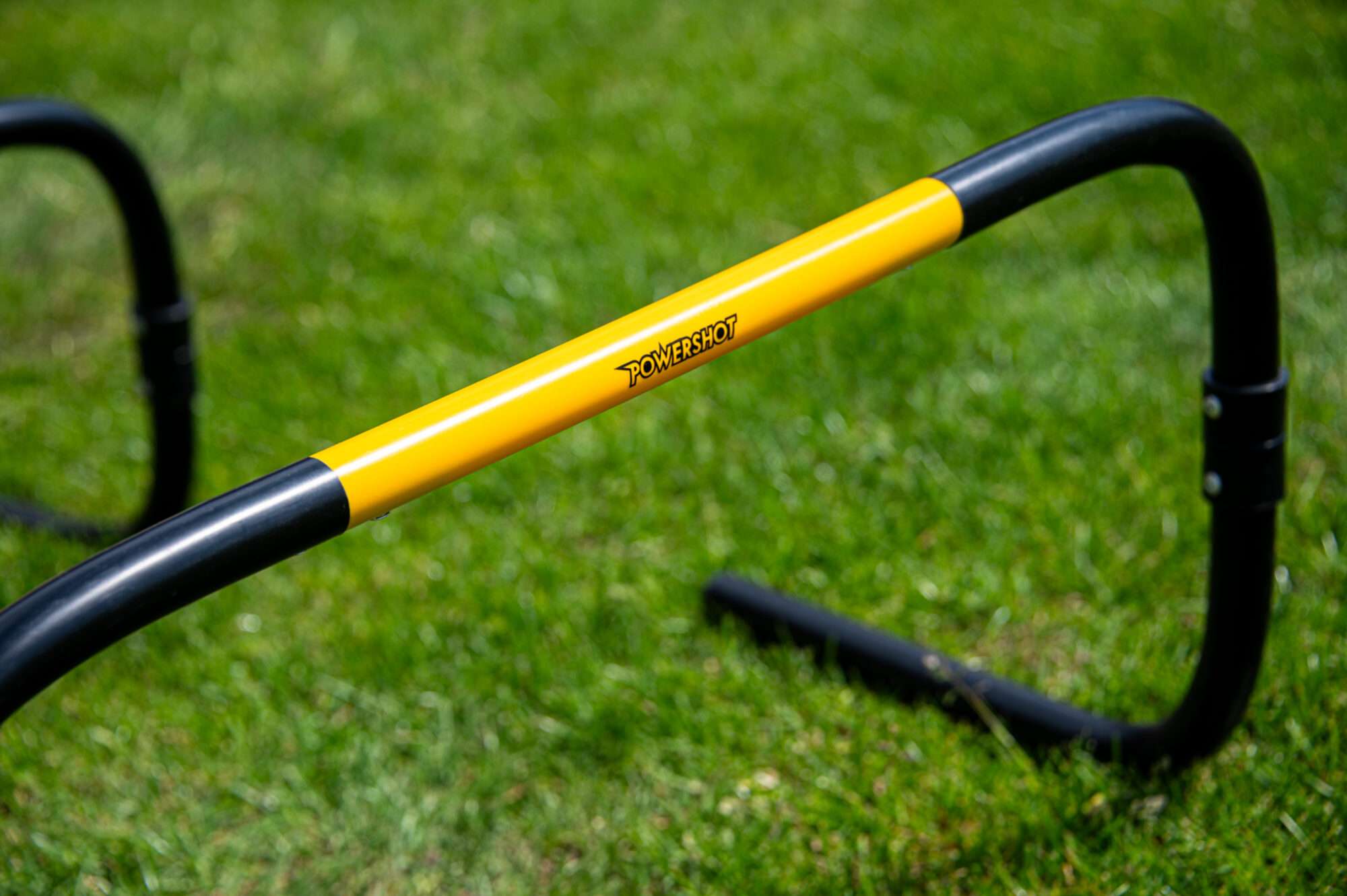 Image du produit : Self Return' hedges - 20cm - Set of 6