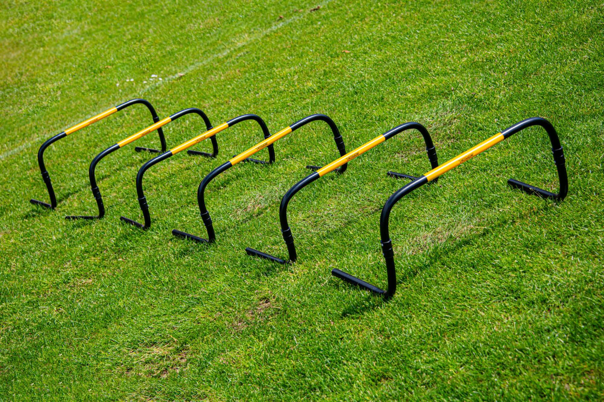 Image du produit : Self Return' hedges - 25cm - Set of 6