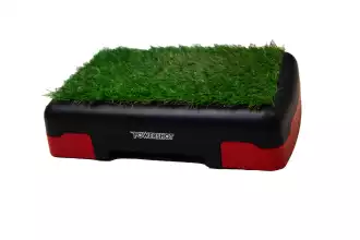 Stepper with synthetic grass