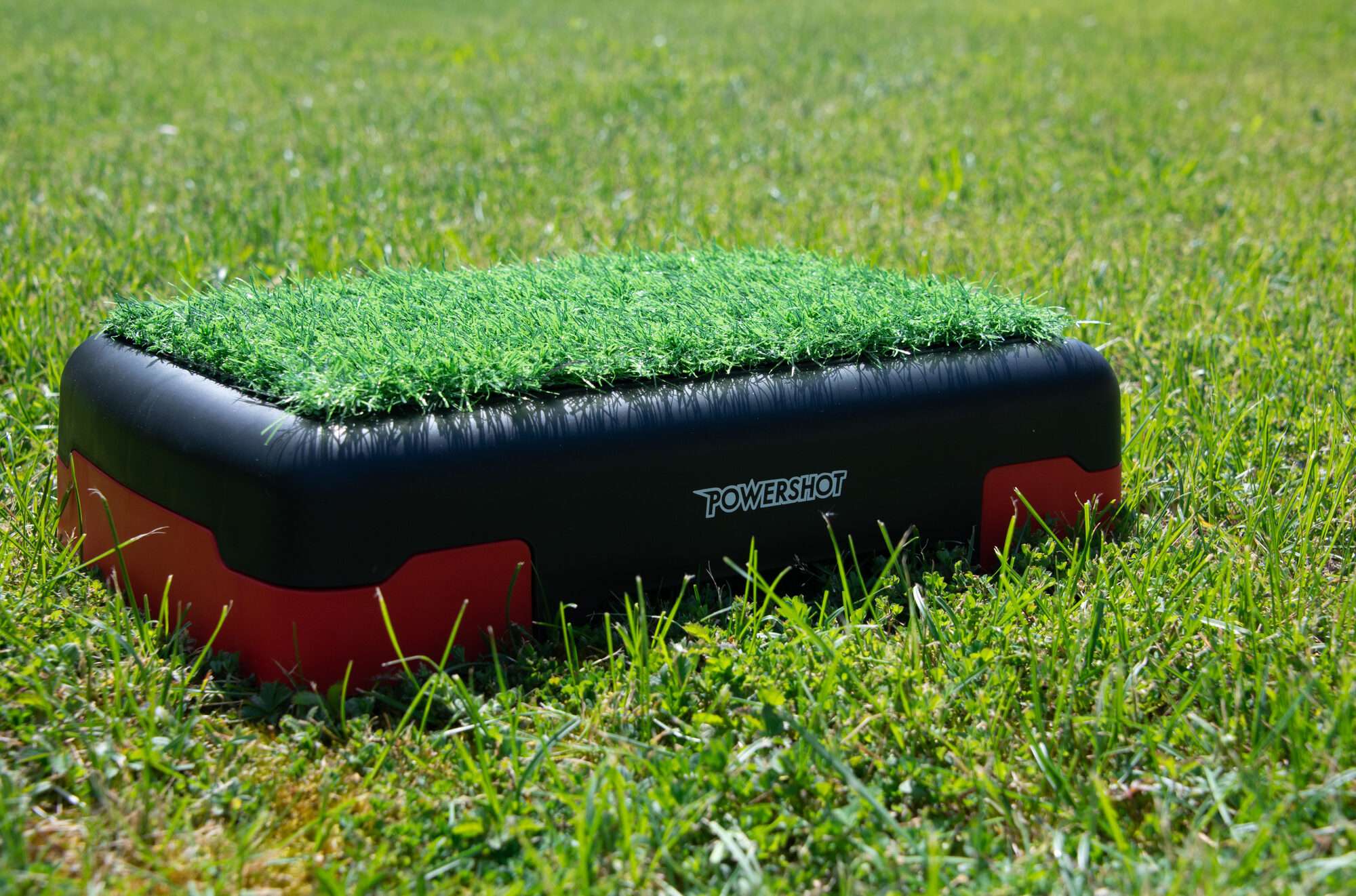 Image du produit : Stepper with synthetic grass