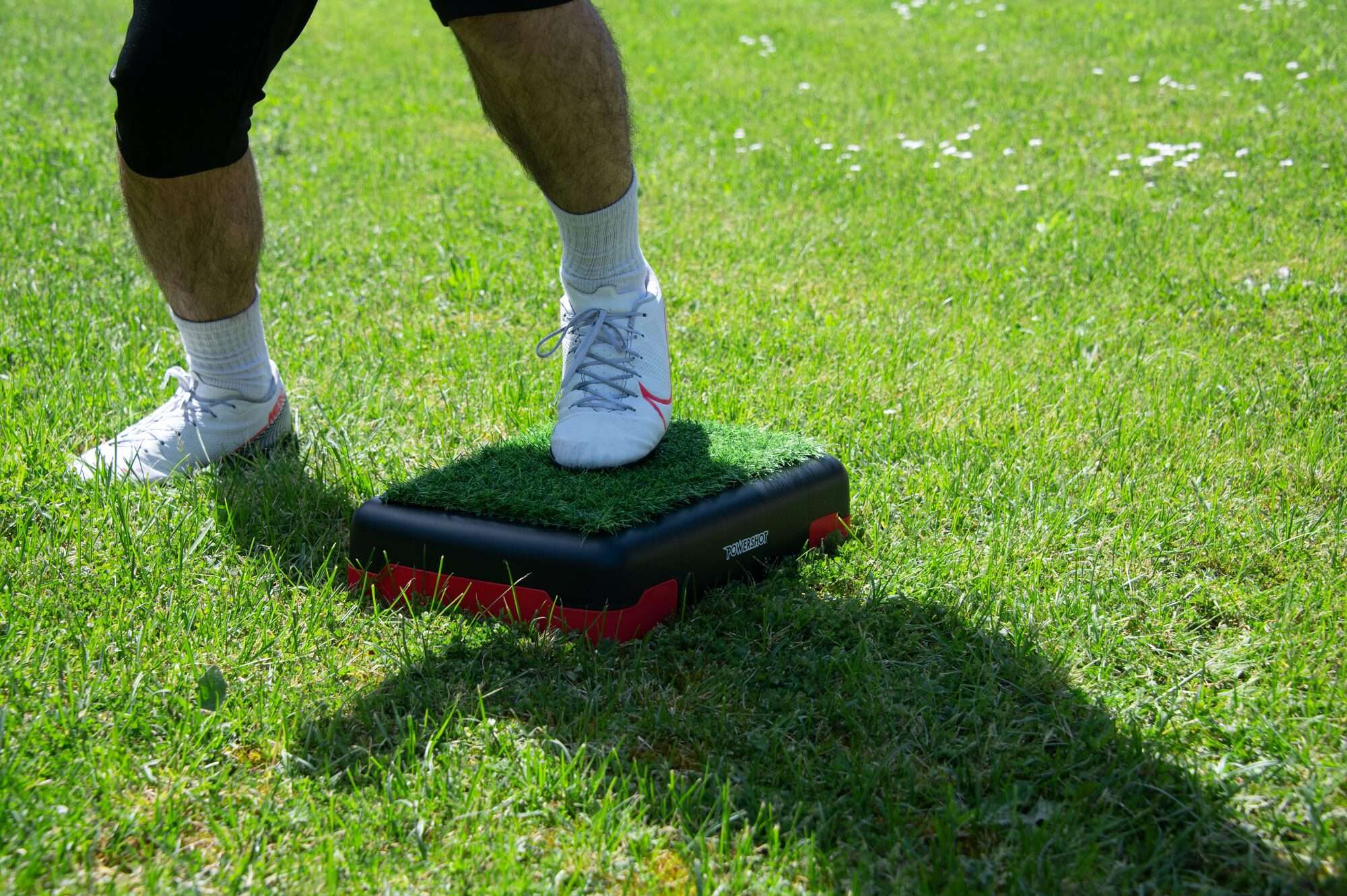 Image du produit : Stepper with synthetic grass
