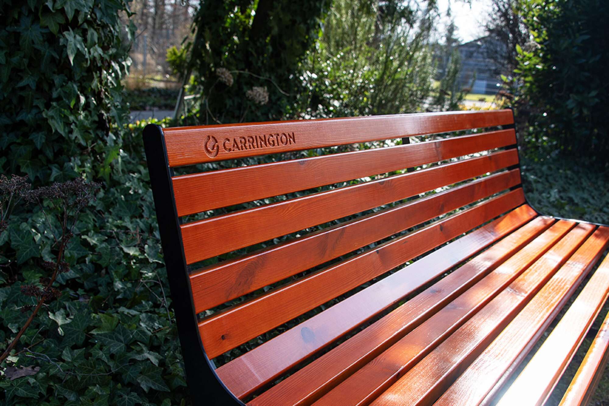 Image du produit : Premium wooden tennis bench with backrest - 180 cm